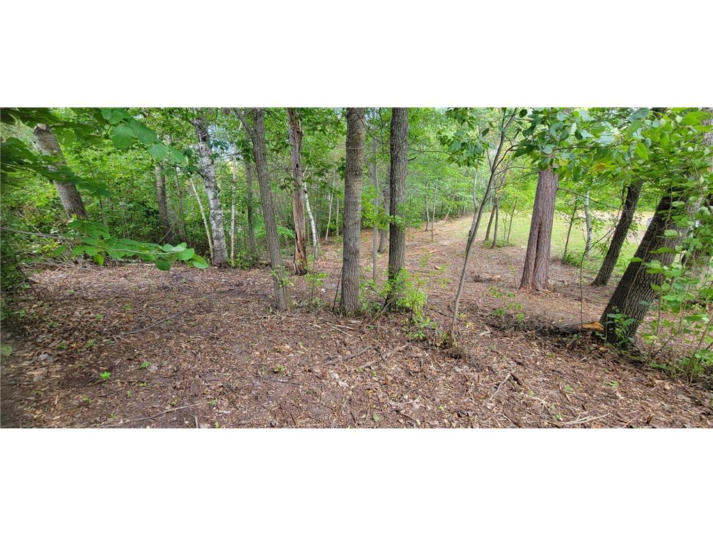 7280 County Road 8 NE Boy Lake Twp MN 56655 - Town Line 6505387 image9