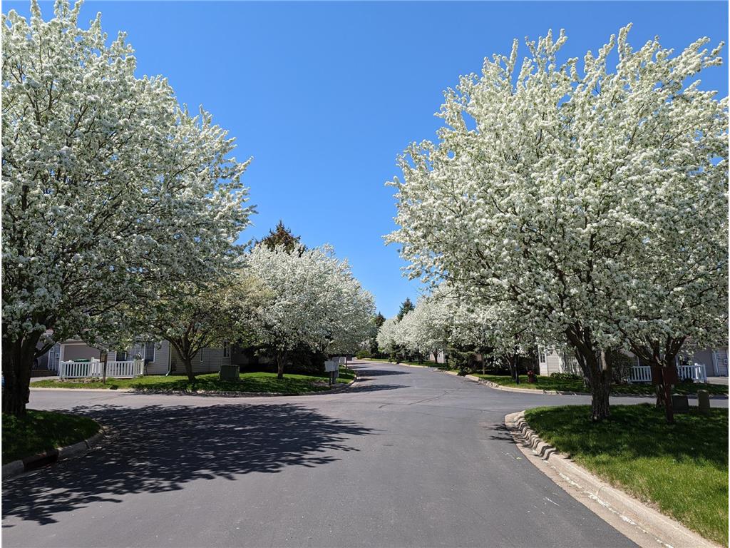 7285 Brittany Lane Inver Grove Heights MN 55076 7088369 image19