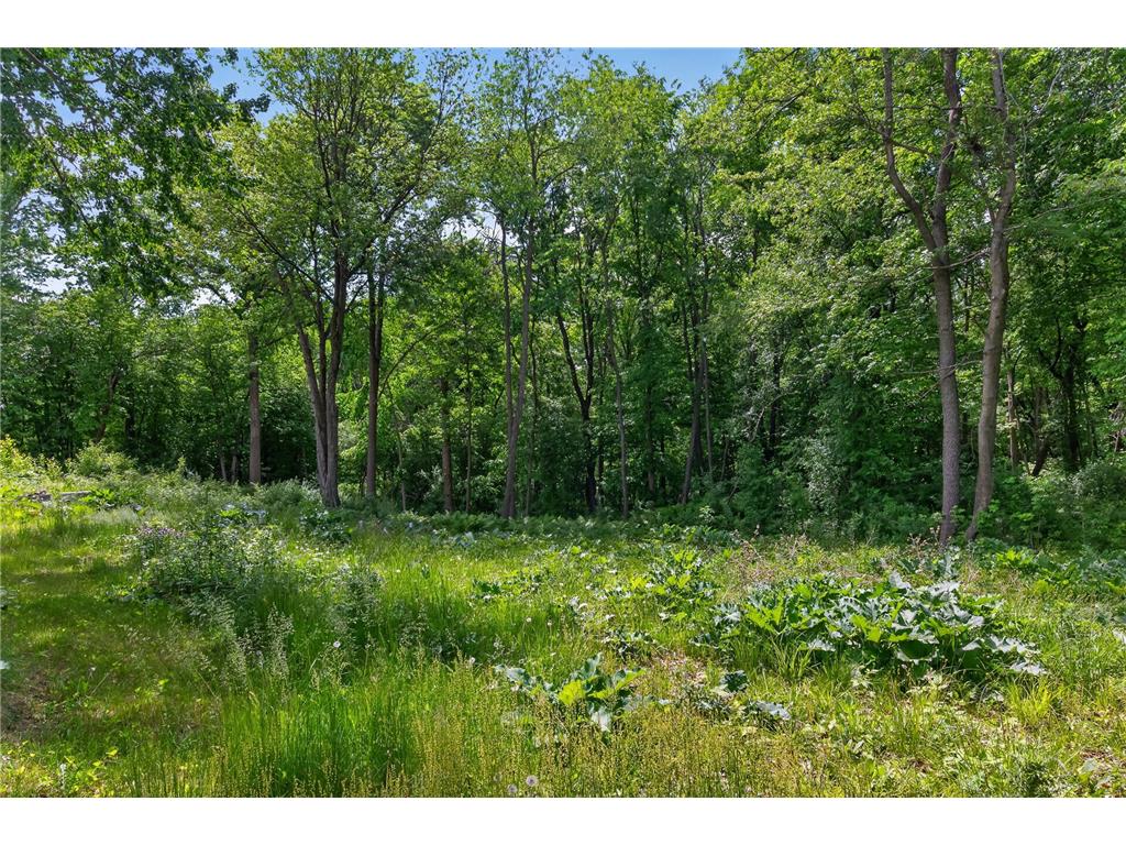 729 220th Street Osceola WI 54020 7085073 image39