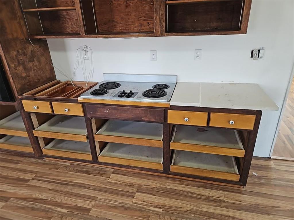 729 Brisbin Street Anoka MN 55303 7049841 image10