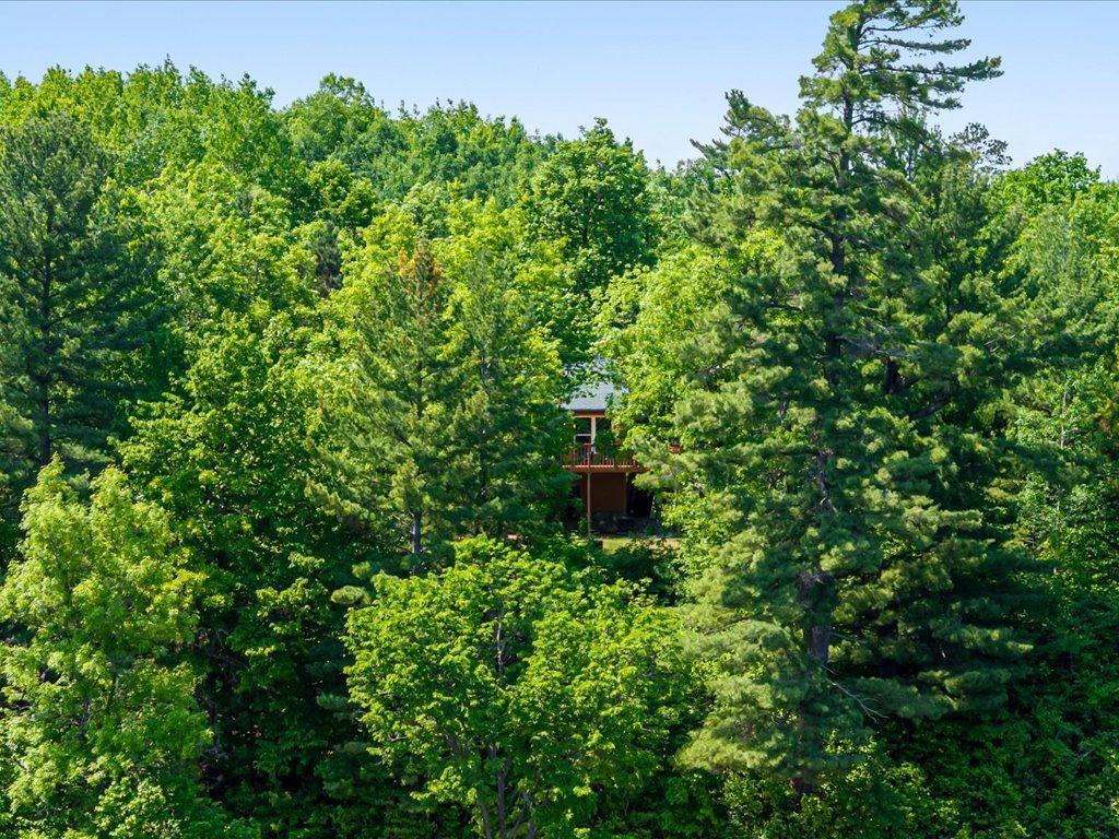 7298 Sweetbrier Trail NW Walker MN 56433 - Long Lake 7088027 image17