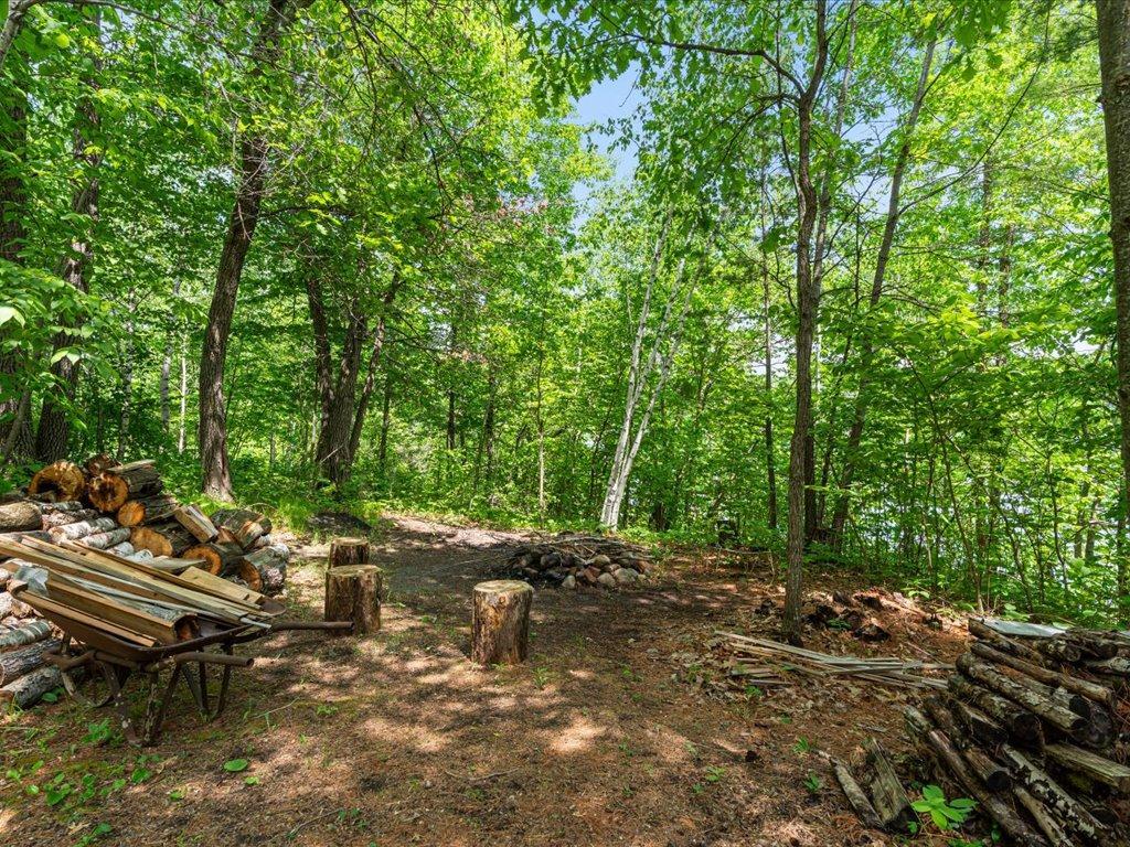 7298 Sweetbrier Trail NW Walker MN 56433 - Long Lake 7088027 image30