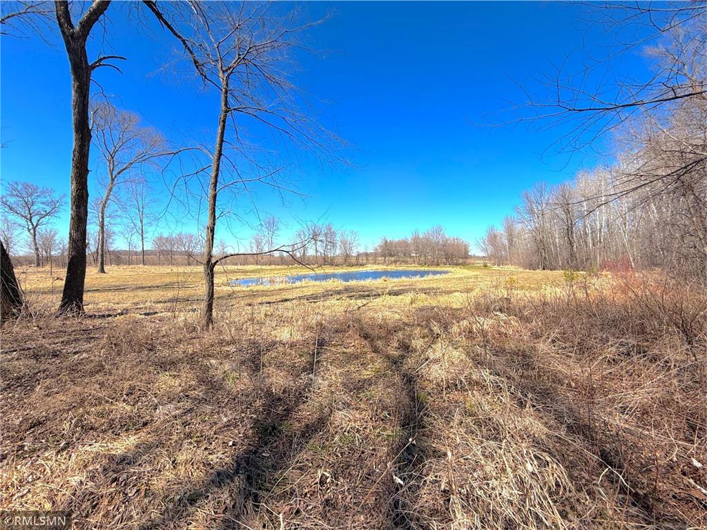 72XX County Road 5 NW Howard Lake MN 55349 7048210 image10