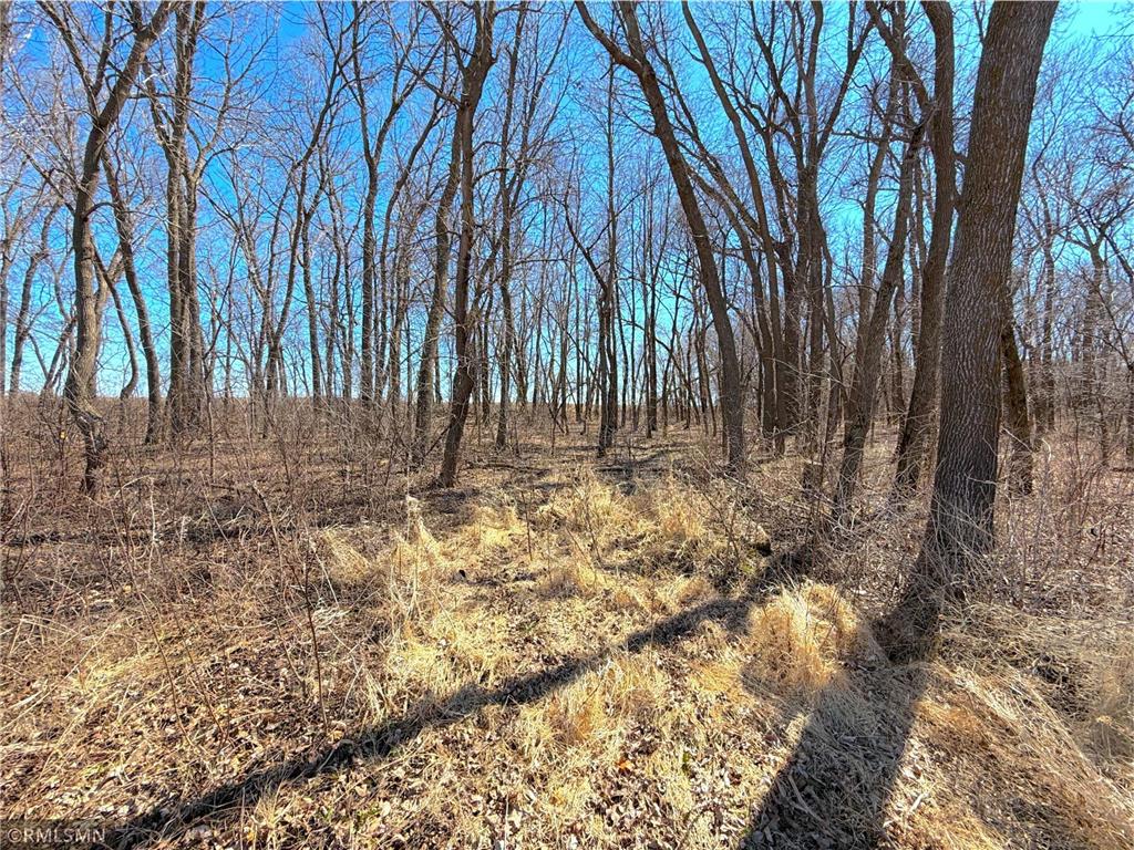 72XX County Road 5 NW Howard Lake MN 55349 7048210 image18