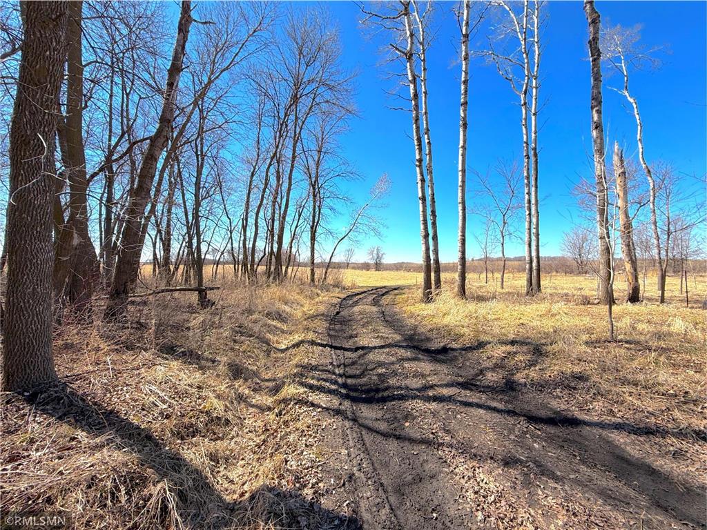 72XX County Road 5 NW Howard Lake MN 55349 7048210 image2