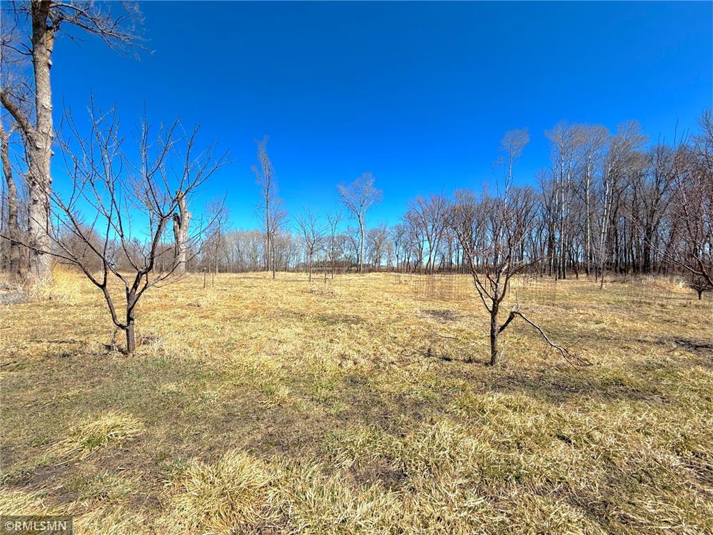 72XX County Road 5 NW Howard Lake MN 55349 7048210 image26