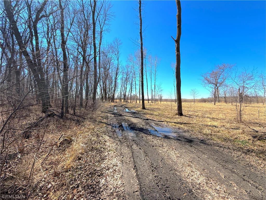 72XX County Road 5 NW Howard Lake MN 55349 7048210 image29