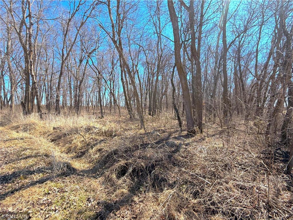 72XX County Road 5 NW Howard Lake MN 55349 7048210 image30