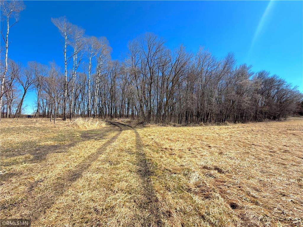 72XX County Road 5 NW Howard Lake MN 55349 7048210 image33