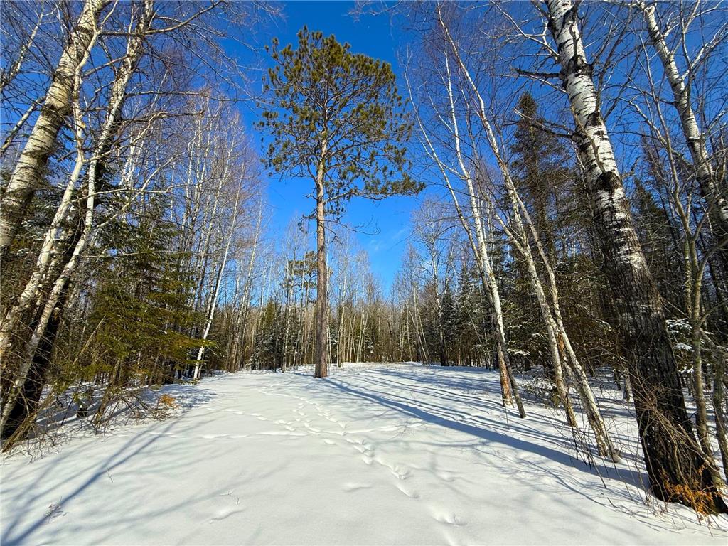 72XXX E Central Lakes Road Lot C Eveleth MN 55734 7027903 image1