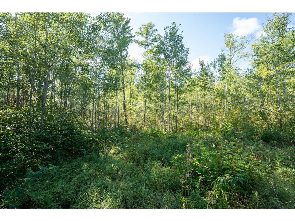 72xx Brown Road Automba Twp MN 55757 6776701 image10