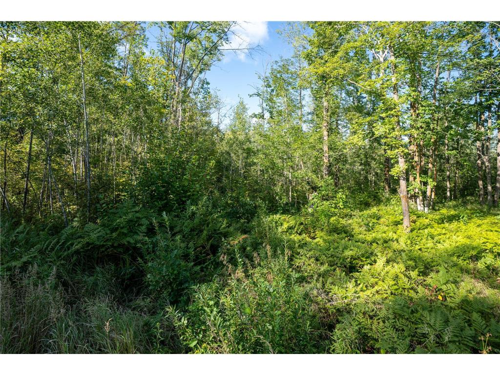 72xx Brown Road Automba Twp MN 55757 6776701 image11