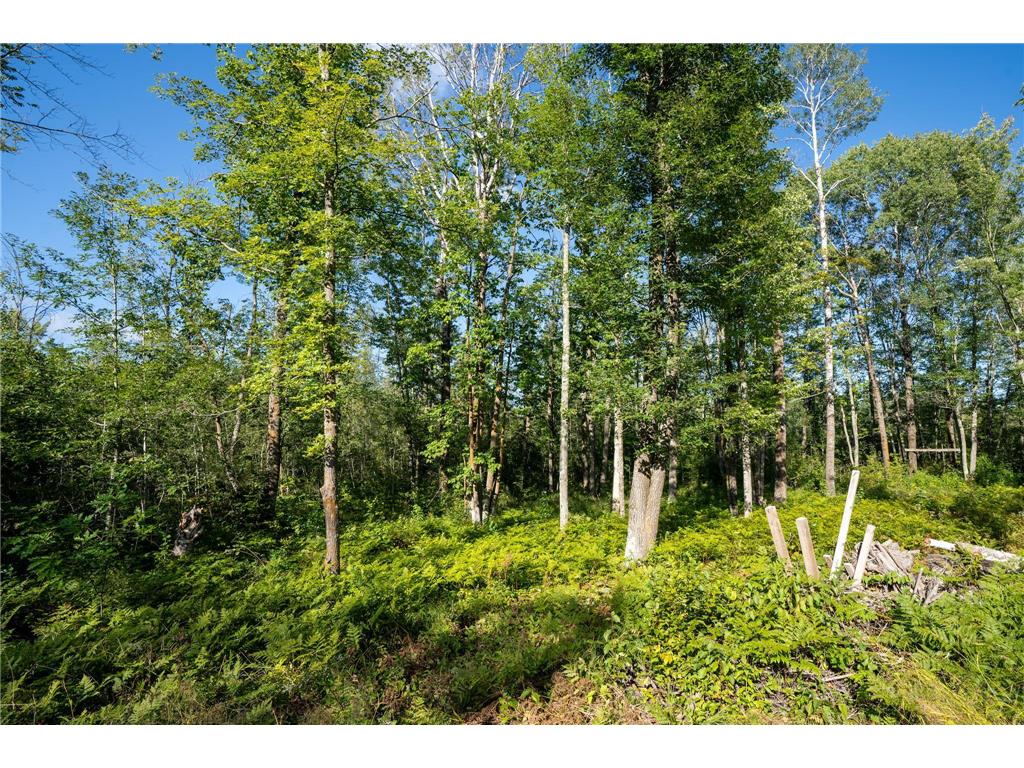 72xx Brown Road Automba Twp MN 55757 6776701 image14