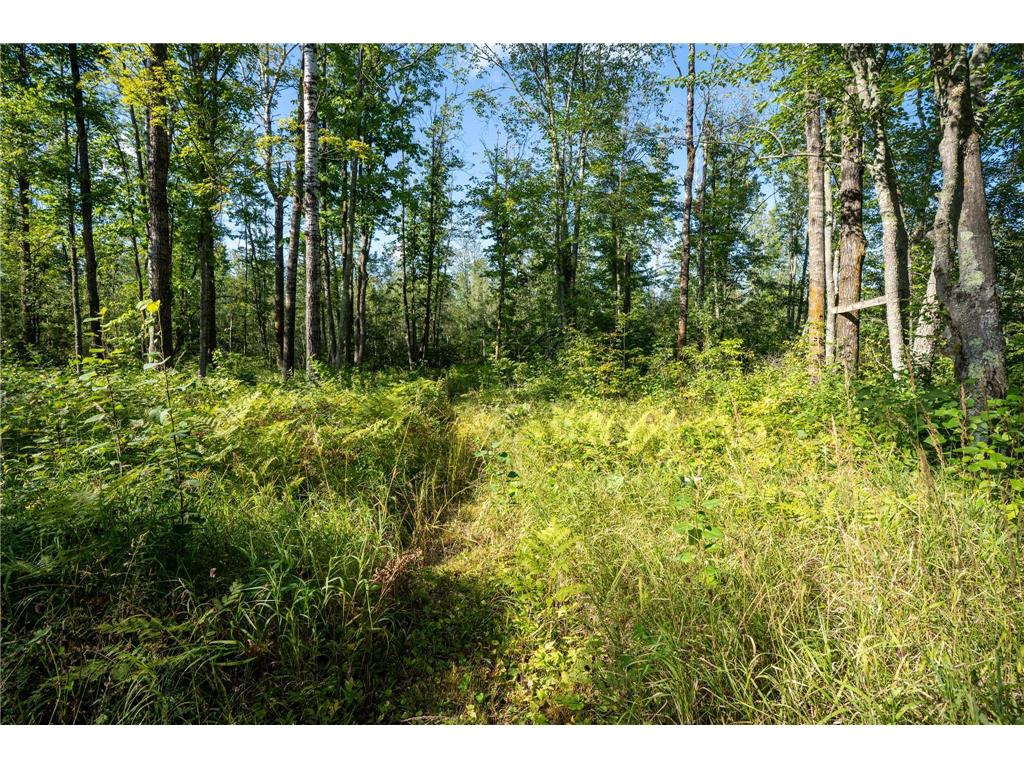 72xx Brown Road Automba Twp MN 55757 6776701 image15