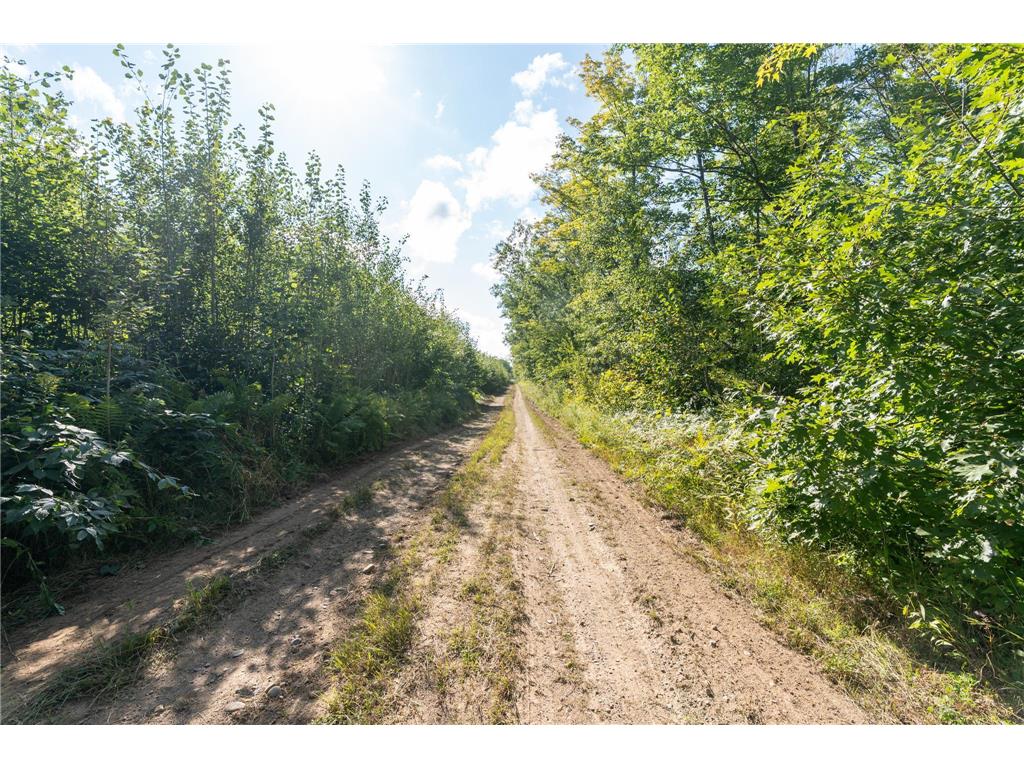 72xx Brown Road Automba Twp MN 55757 6776701 image3