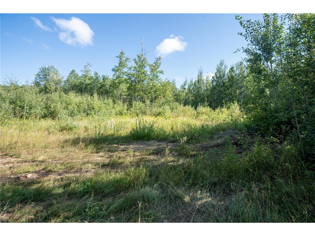 72xx Brown Road Automba Twp MN 55757 6776701 image4