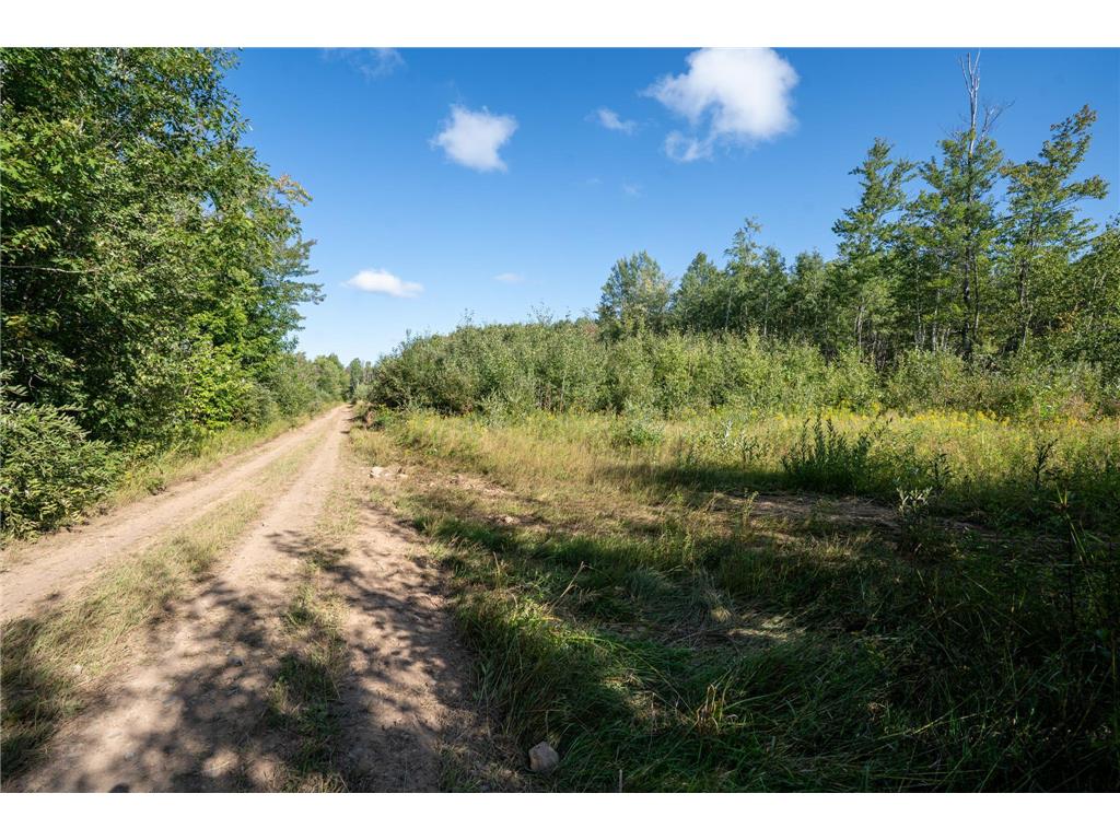 72xx Brown Road Automba Twp MN 55757 6776701 image5