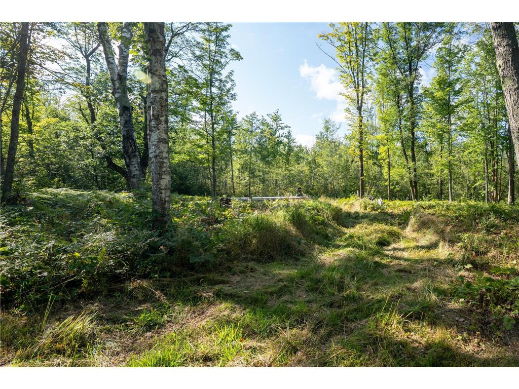 72xx Brown Road Automba Twp MN 55757 6776701 image7