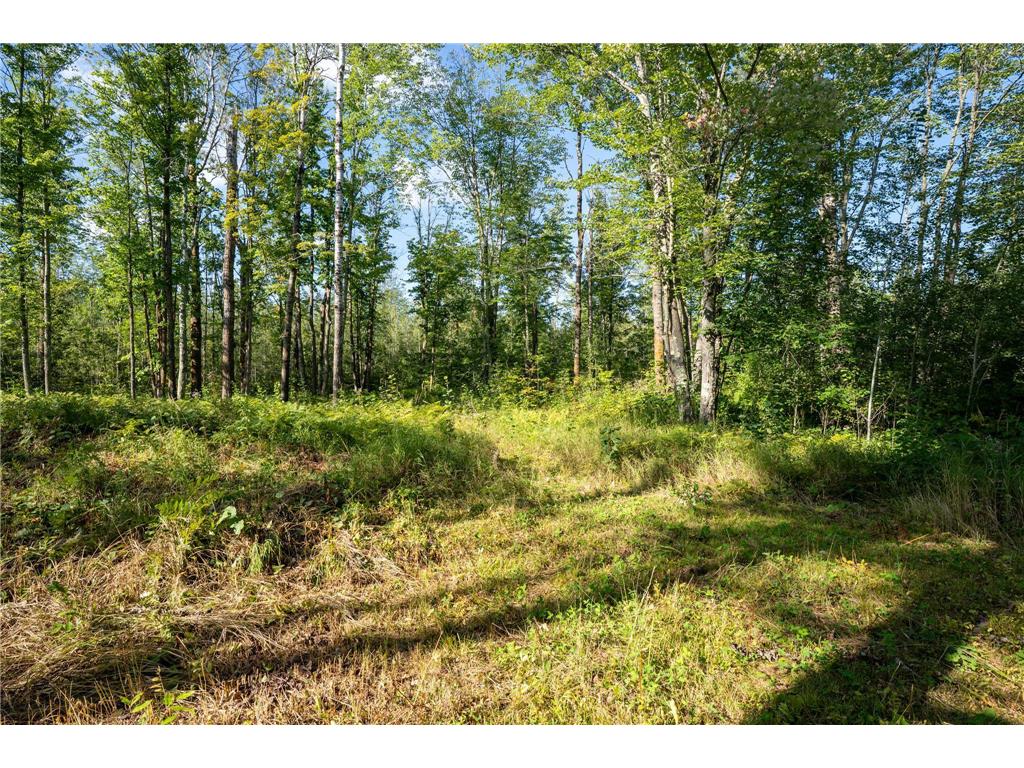 72xx Brown Road Automba Twp MN 55757 6776701 image8