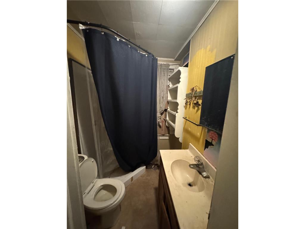 73 2nd Street SE Blackduck MN 56630 6747662 image13