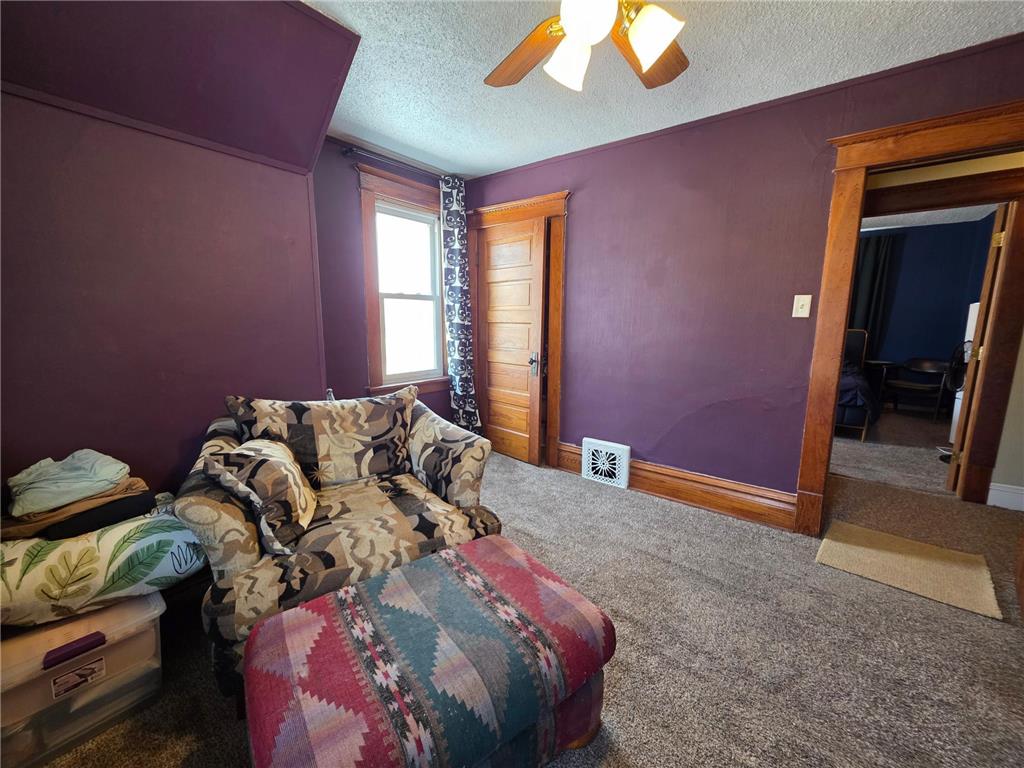 730 1st Avenue Gibbon MN 55335 7015977 image18