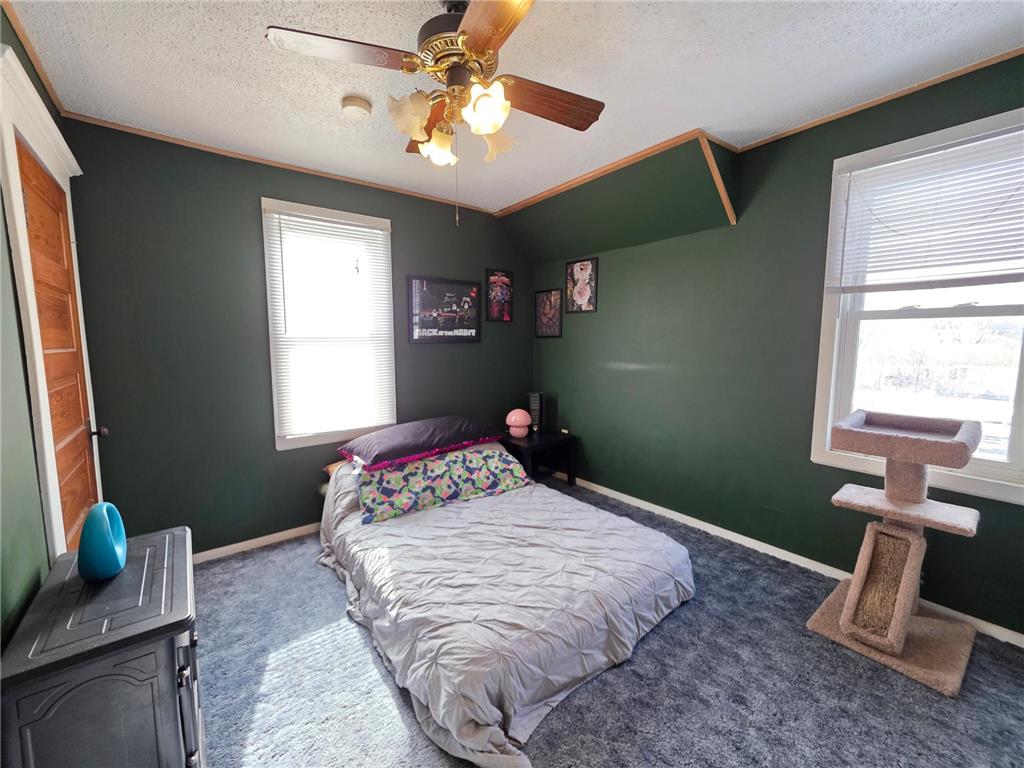 730 1st Avenue Gibbon MN 55335 7015977 image21