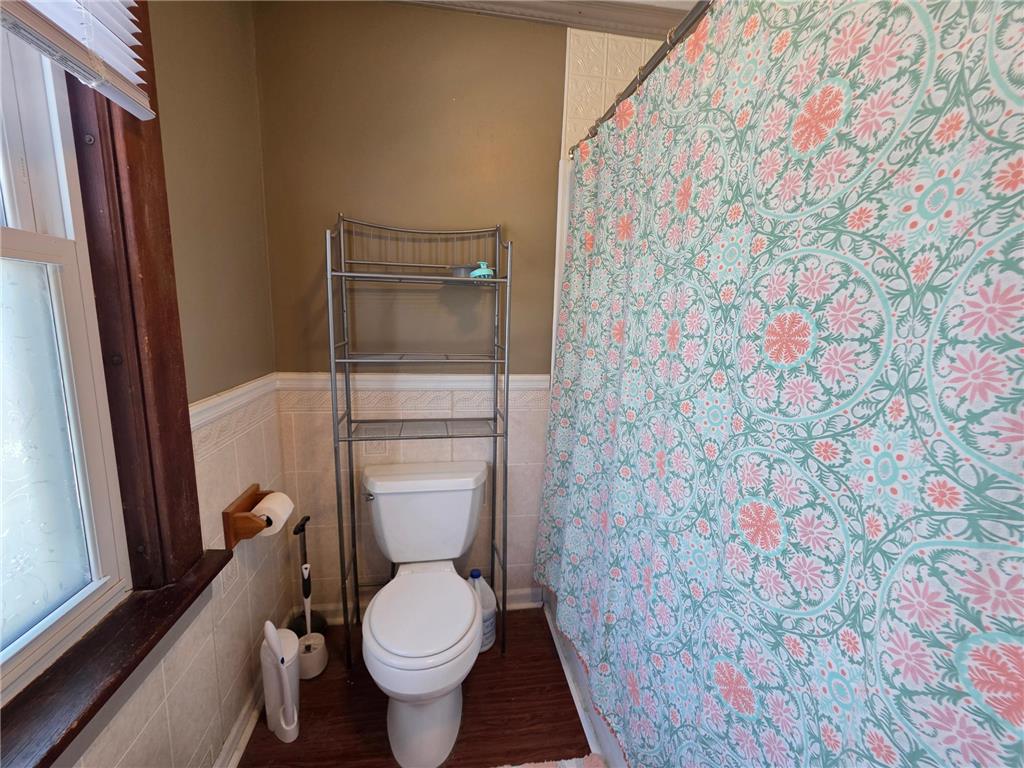 730 1st Avenue Gibbon MN 55335 7015977 image24