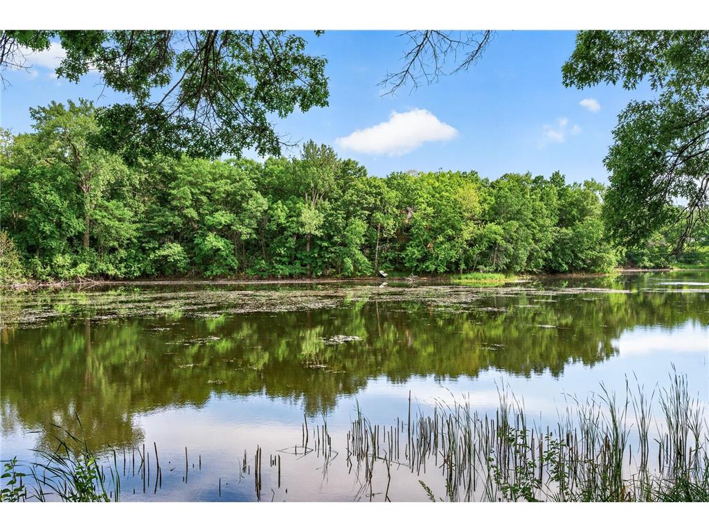 730 Amber Drive Shoreview MN 55126 - Emily 6752092 image50