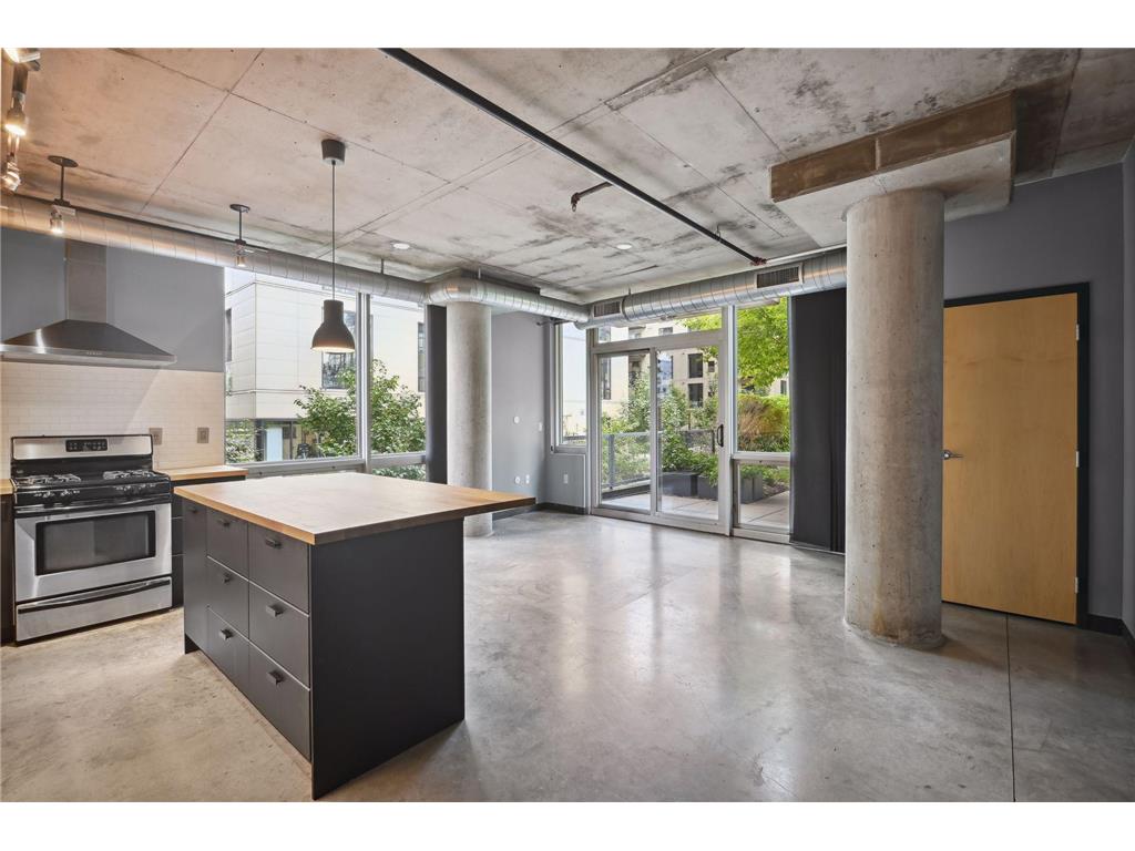 730 N 4th Street #112 Minneapolis MN 55401 6412894 image1