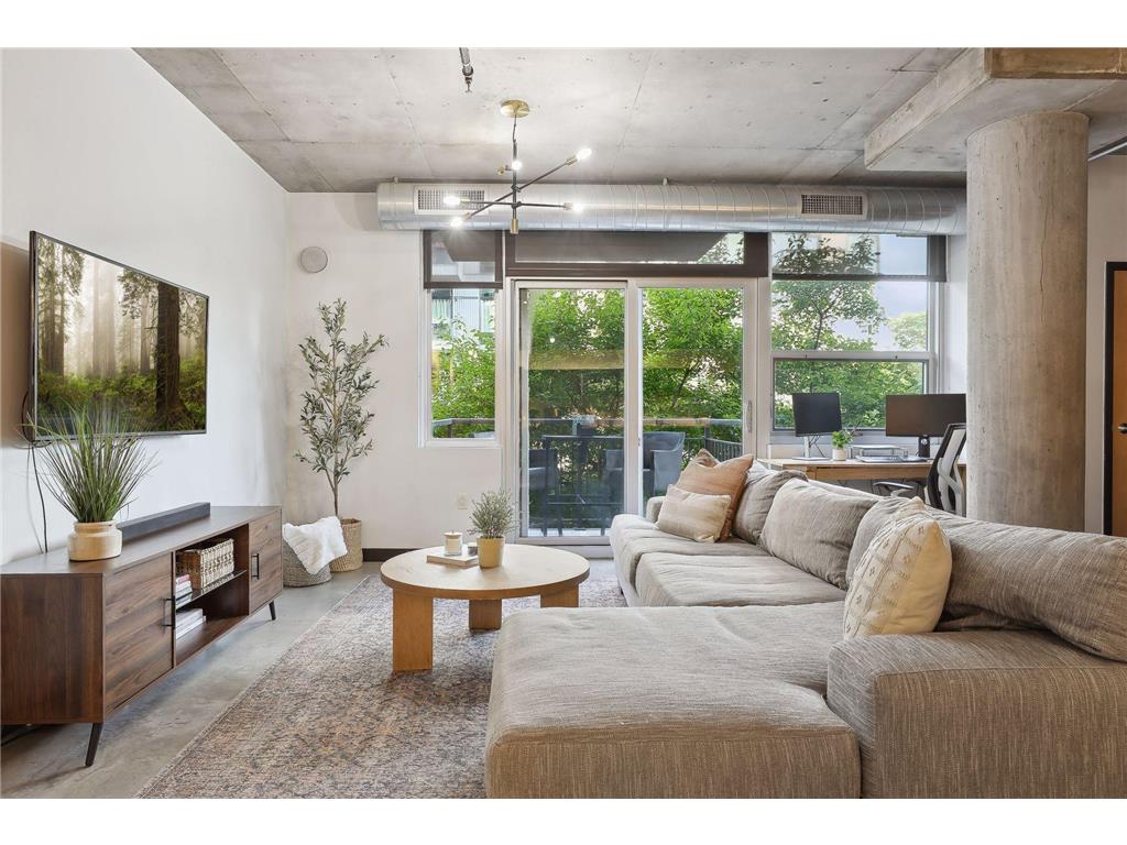 730 N 4th Street #204 Minneapolis MN 55401 6393038 image1
