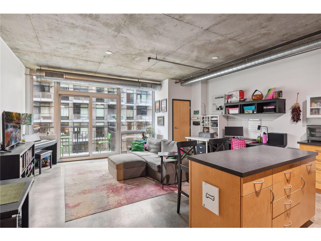 730 N 4th Street #308 Minneapolis MN 55401 6474324 image1