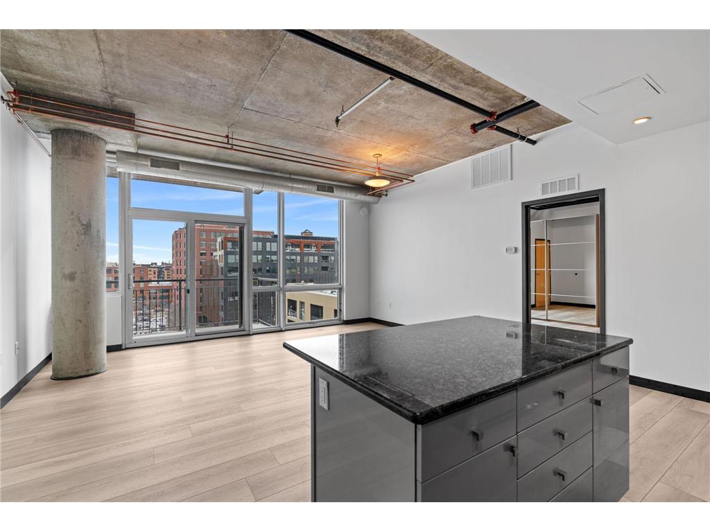 730 N 4th Street #813 Minneapolis MN 55401 7032215 image1