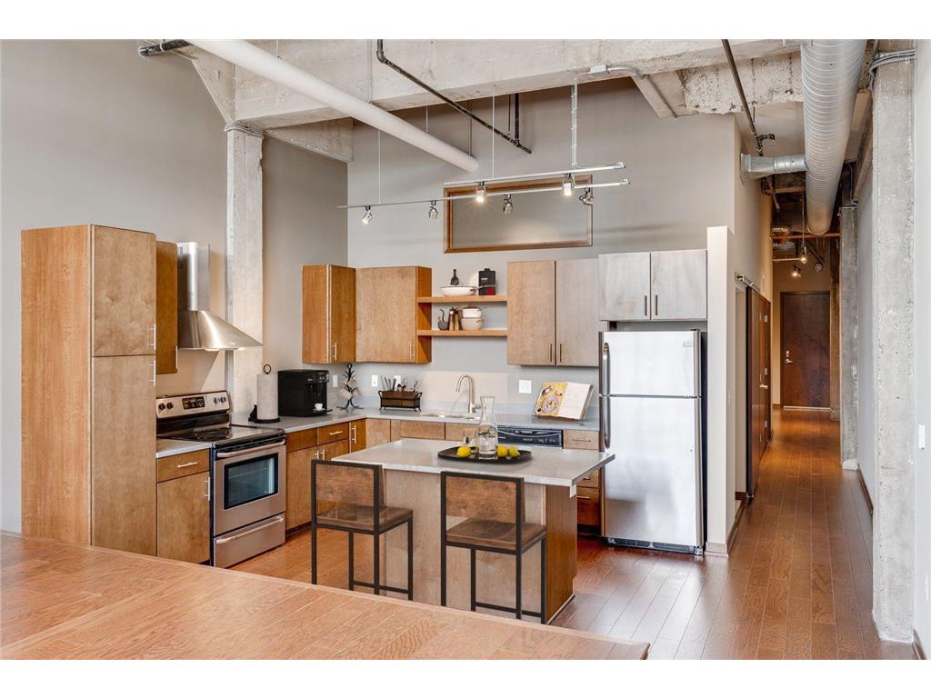 730 Washington Ave N #342 Minneapolis MN 55401 6784054 image1