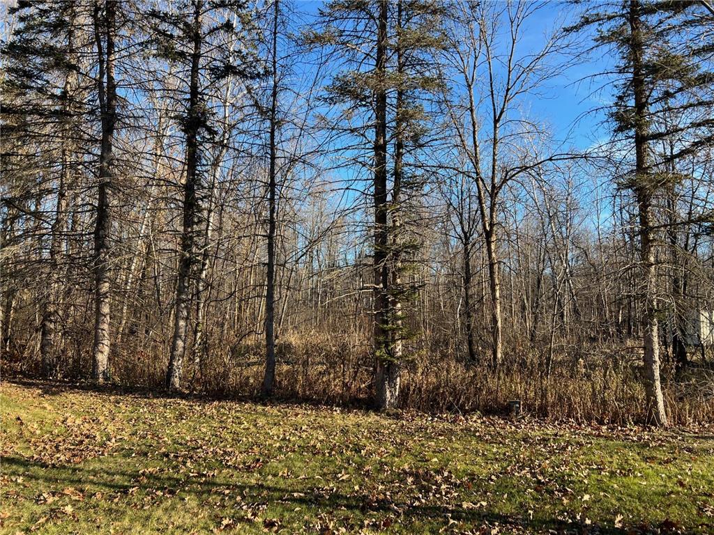 7302 Lake Camile Drive Cushing Twp MN 56475 6819364 image26