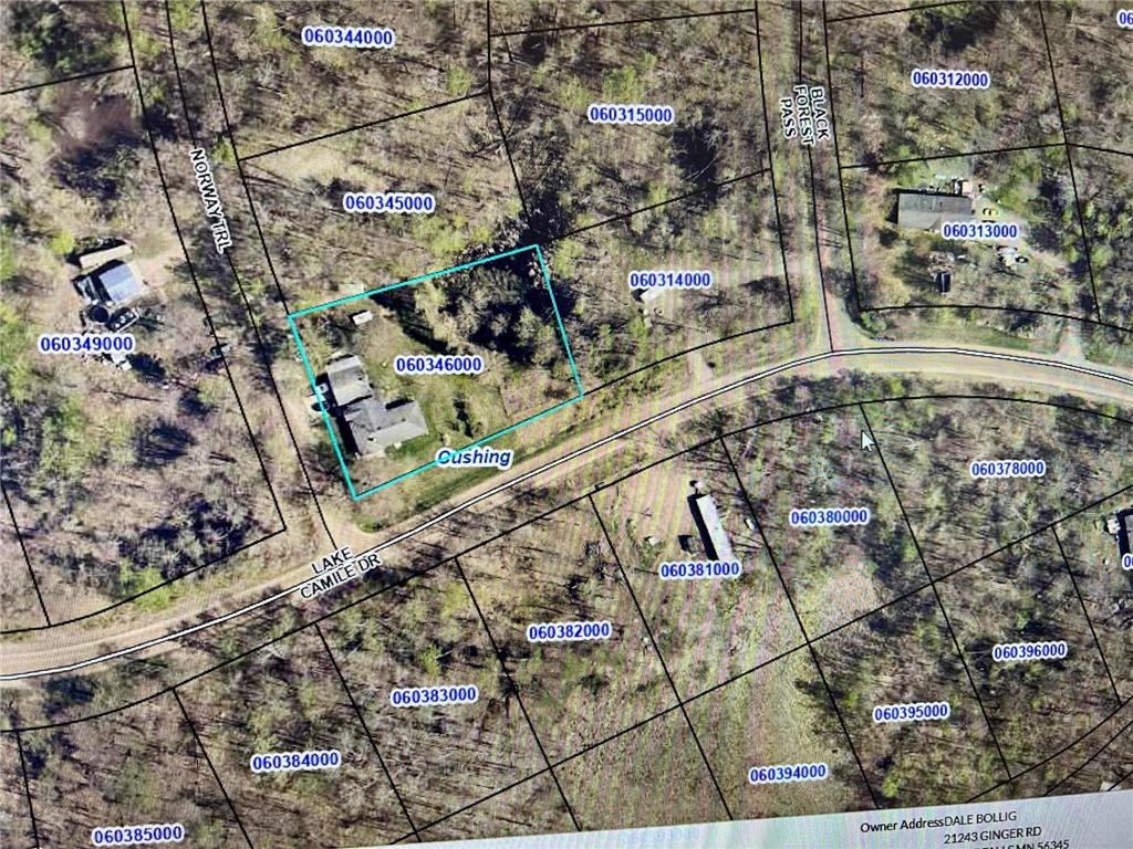 7302 Lake Camile Drive Cushing Twp MN 56475 6819364 image27