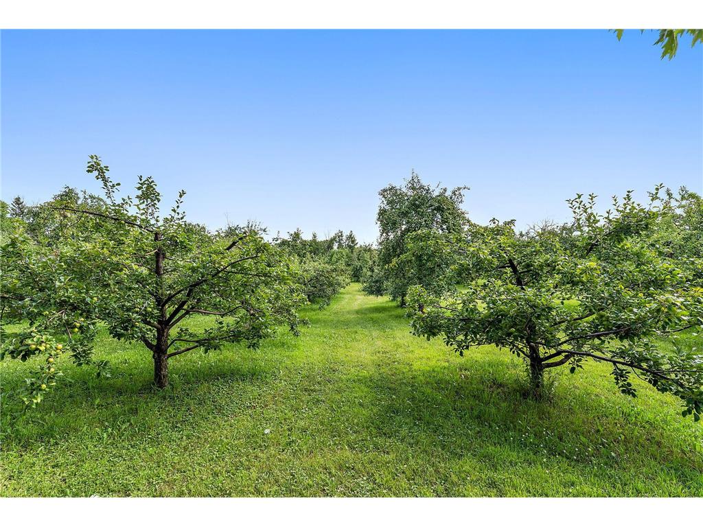 7306 24th Ave Lino Lakes MN 55038 6814134 image10