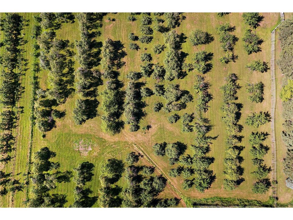 7306 24th Ave Lino Lakes MN 55038 6814134 image24