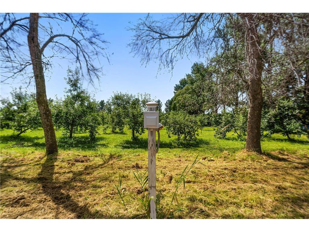 7306 24th Ave Lino Lakes MN 55038 6814134 image65