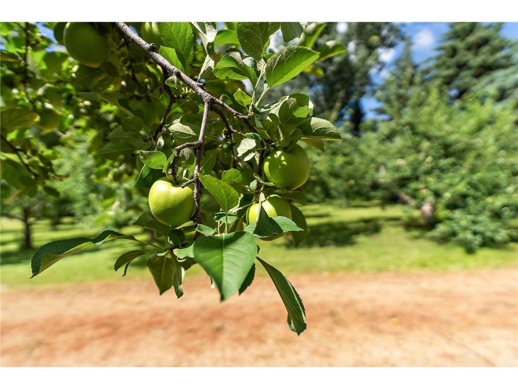 7306 24th Ave Lino Lakes MN 55038 6814134 image72