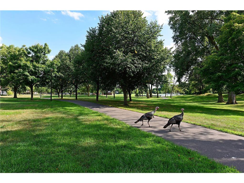 7310 Harold Avenue Golden Valley MN 55427 7040443 image14