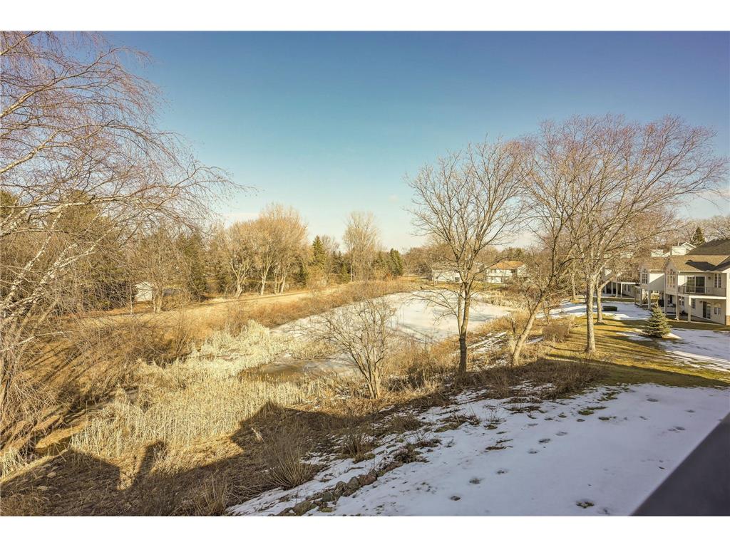 7311 Brittany Lane Inver Grove Heights MN 55076 6799810 image30