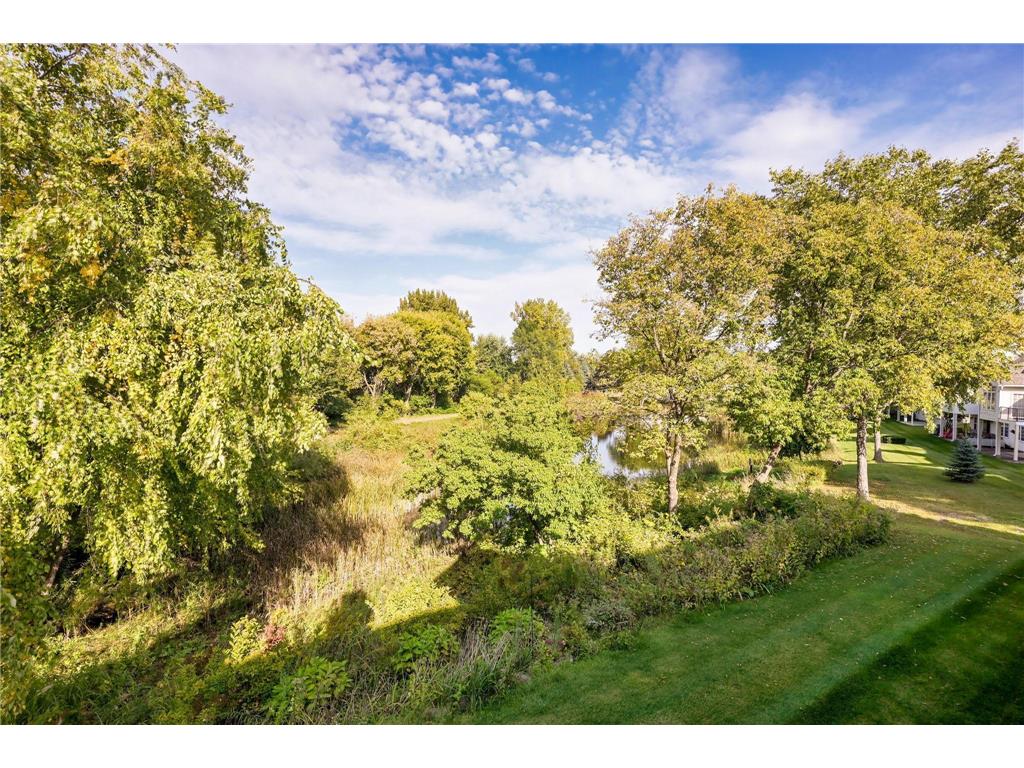 7311 Brittany Lane Inver Grove Heights MN 55076 6799810 image31