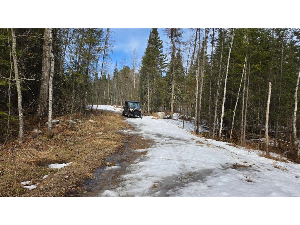 7316 Crane Lake Road Crane Lake MN 55725 6705324 image11