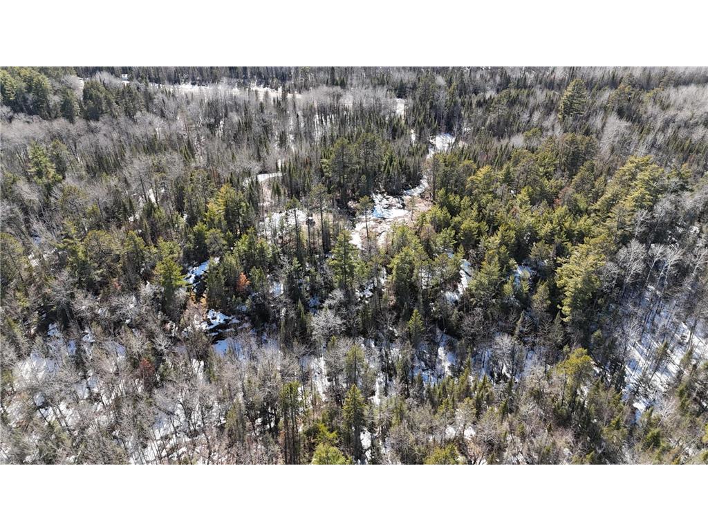 7316 Crane Lake Road Crane Lake MN 55725 6705324 image20