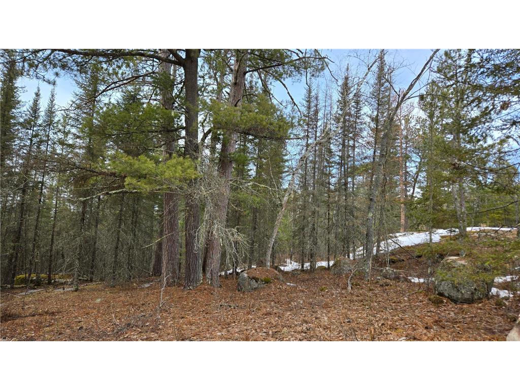 7316 Crane Lake Road Crane Lake MN 55725 6705324 image3