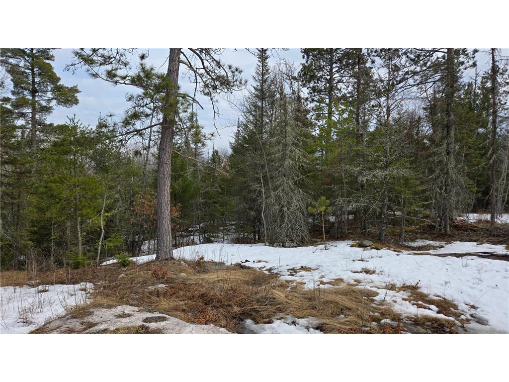 7316 Crane Lake Road Crane Lake MN 55725 6705324 image4