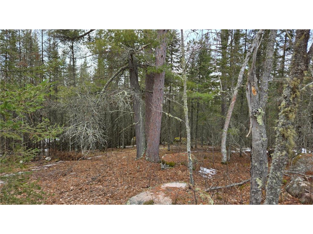 7316 Crane Lake Road Crane Lake MN 55725 6705324 image5