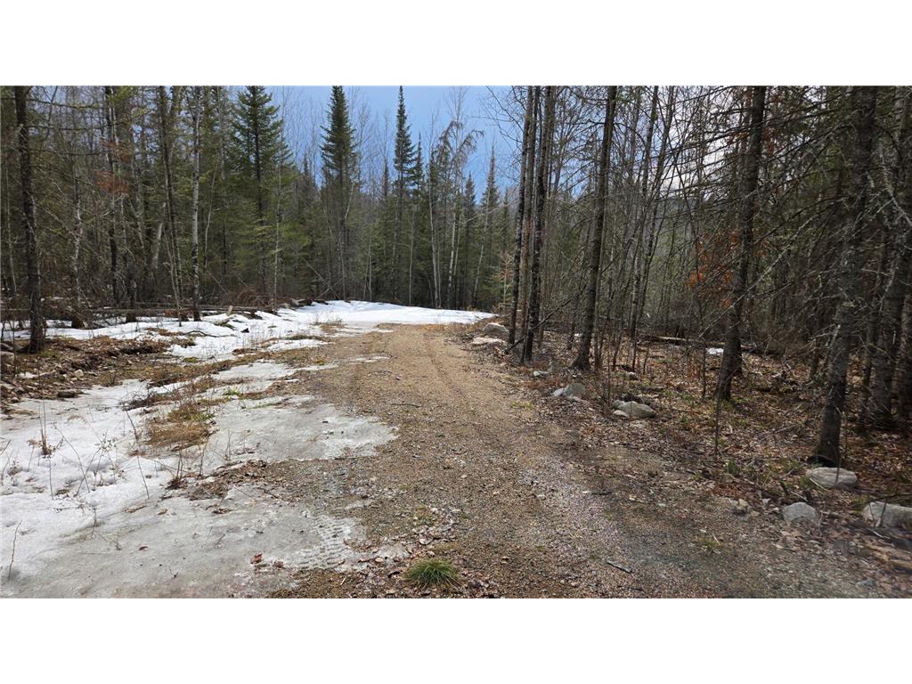 7316 Crane Lake Road Crane Lake MN 55725 6705324 image6