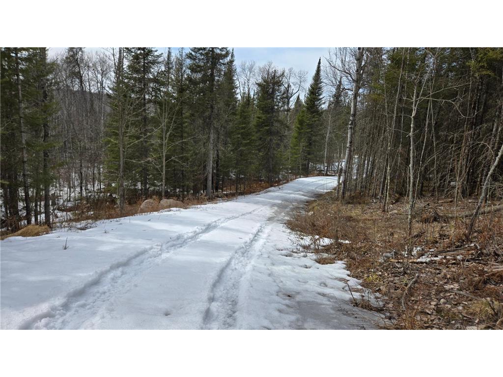 7316 Crane Lake Road Crane Lake MN 55725 6705324 image7