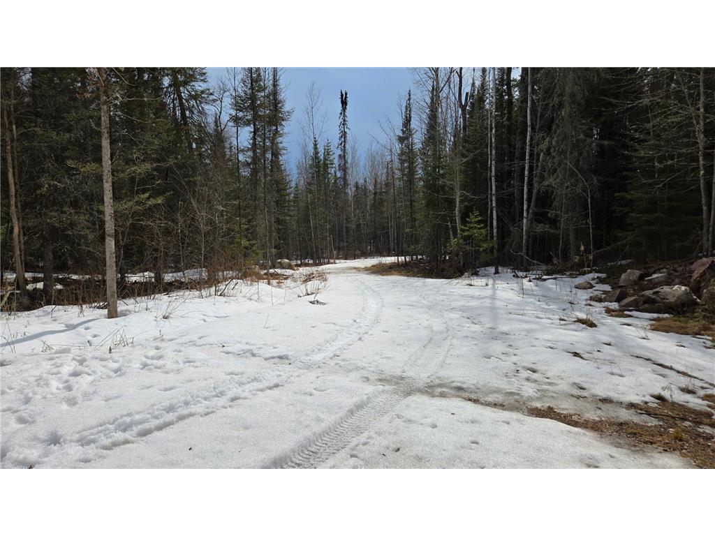 7316 Crane Lake Road Crane Lake MN 55725 6705324 image9